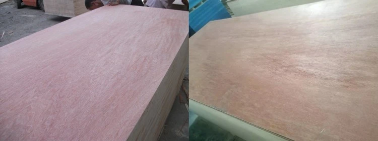 product-750-281