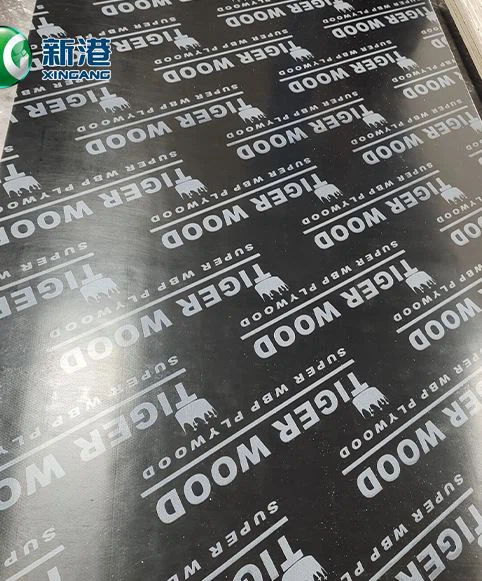 Black Film Faced Plywood Poplar Core