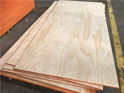 ساخت کے لیے 18mm C/D پائن پلائیووڈ