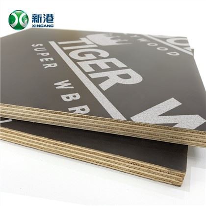 Linyi میرین بورڈ / فلم کا سامنا پلائیووڈ