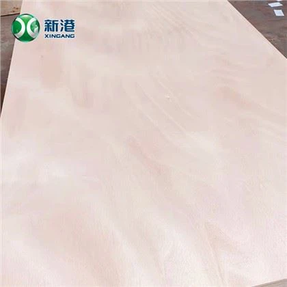 Okoume BB/CC پلائیووڈ