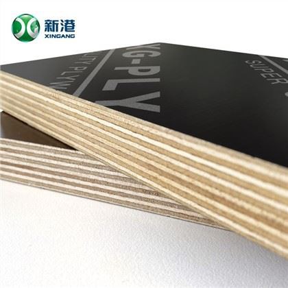 1220*2440mm 18mm بلیک فلم فیسڈ پلائیووڈ