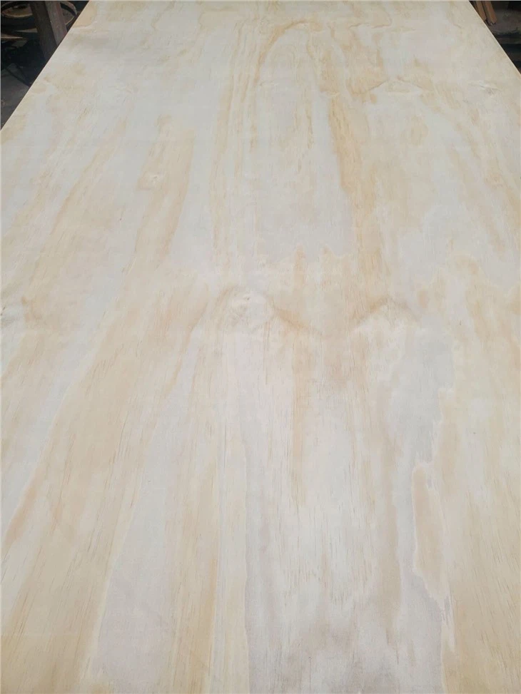 ساختی پلائیووڈ پائن فیس اینڈ بیک چنار کور ہائی کوالٹی کمرشل پلائیووڈ