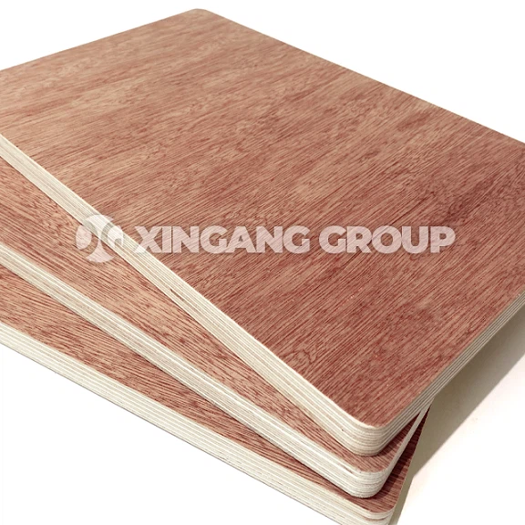 Bing Tanger Plywood 20250209